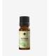 Fenicul dulce ulei esenţial pur (foeniculum vulgare) 10 ml