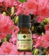 Rhododendron BIO ulei esenţial